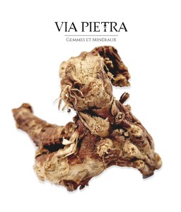 racine de mandragore véritable, rituel magique, mandragore root herboristerie, plante ésotérique mandragore racine