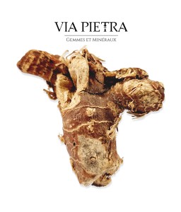 racine de mandragore véritable, rituel magique, mandragore root herboristerie, plante ésotérique mandragore racine