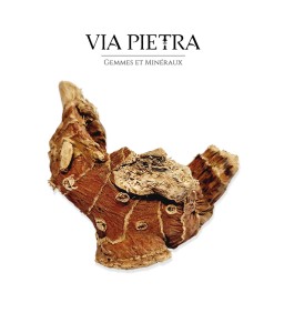 racine de mandragore véritable, rituel magique, mandragore root herboristerie, plante ésotérique mandragore racine